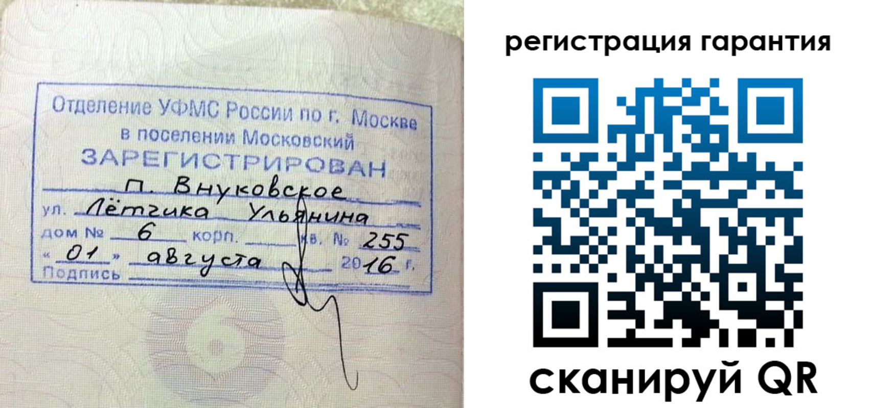 прописка гарантия в Калининграде